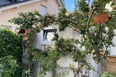 2023-08-19 Garten