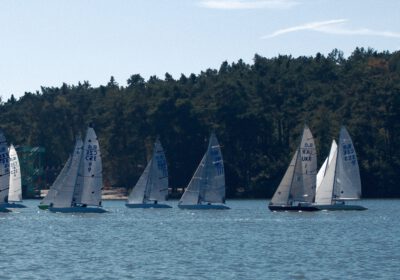 Regatta in friedlicher Umgebung